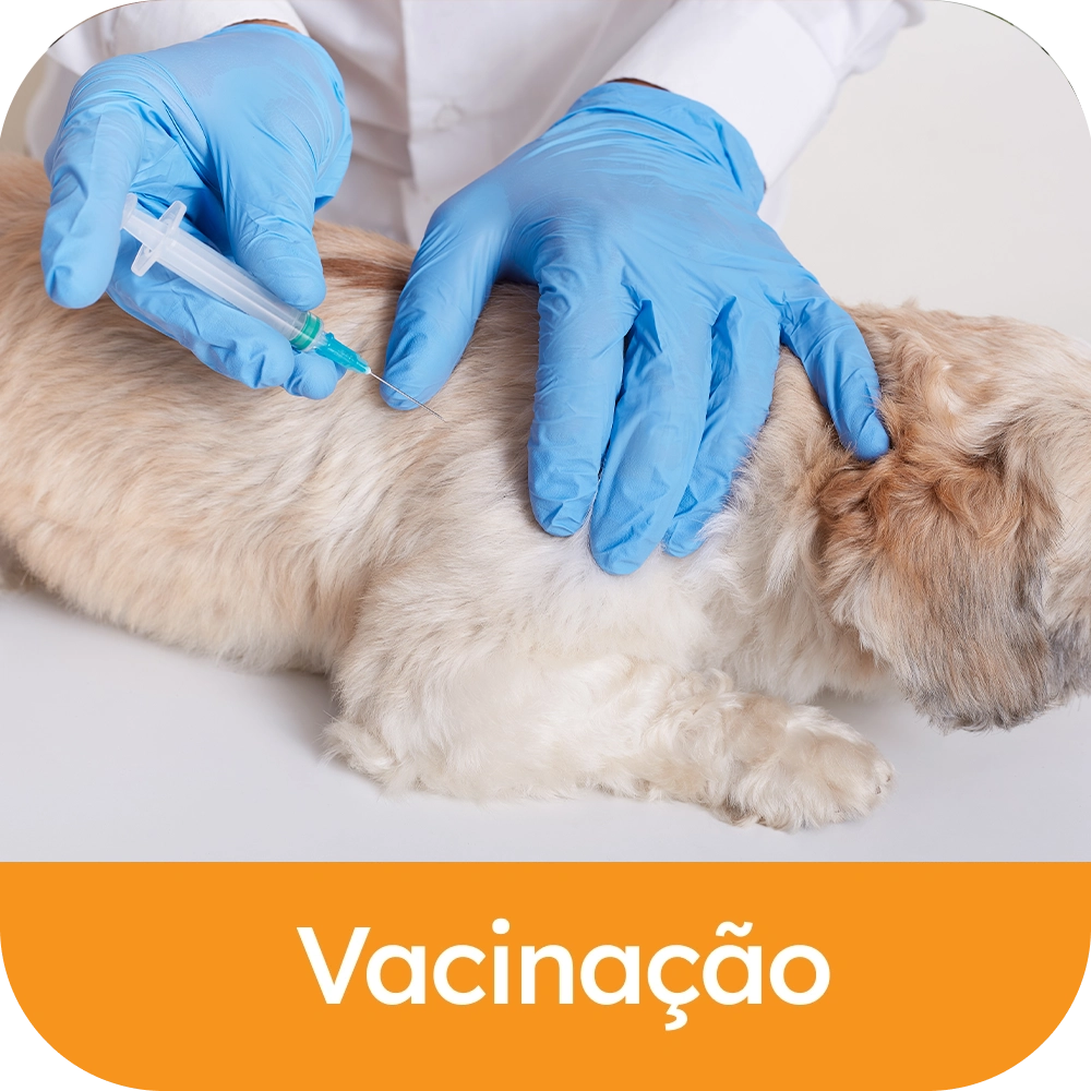 Vacinação